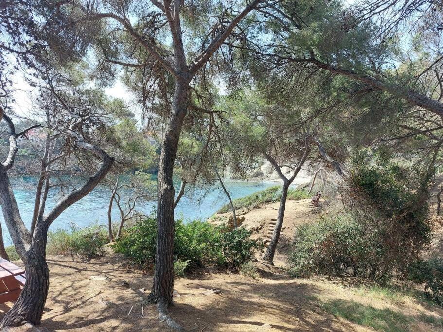 Charmant Mazet - Plage A Pied Saint-Peire-sur-Mer Экстерьер фото